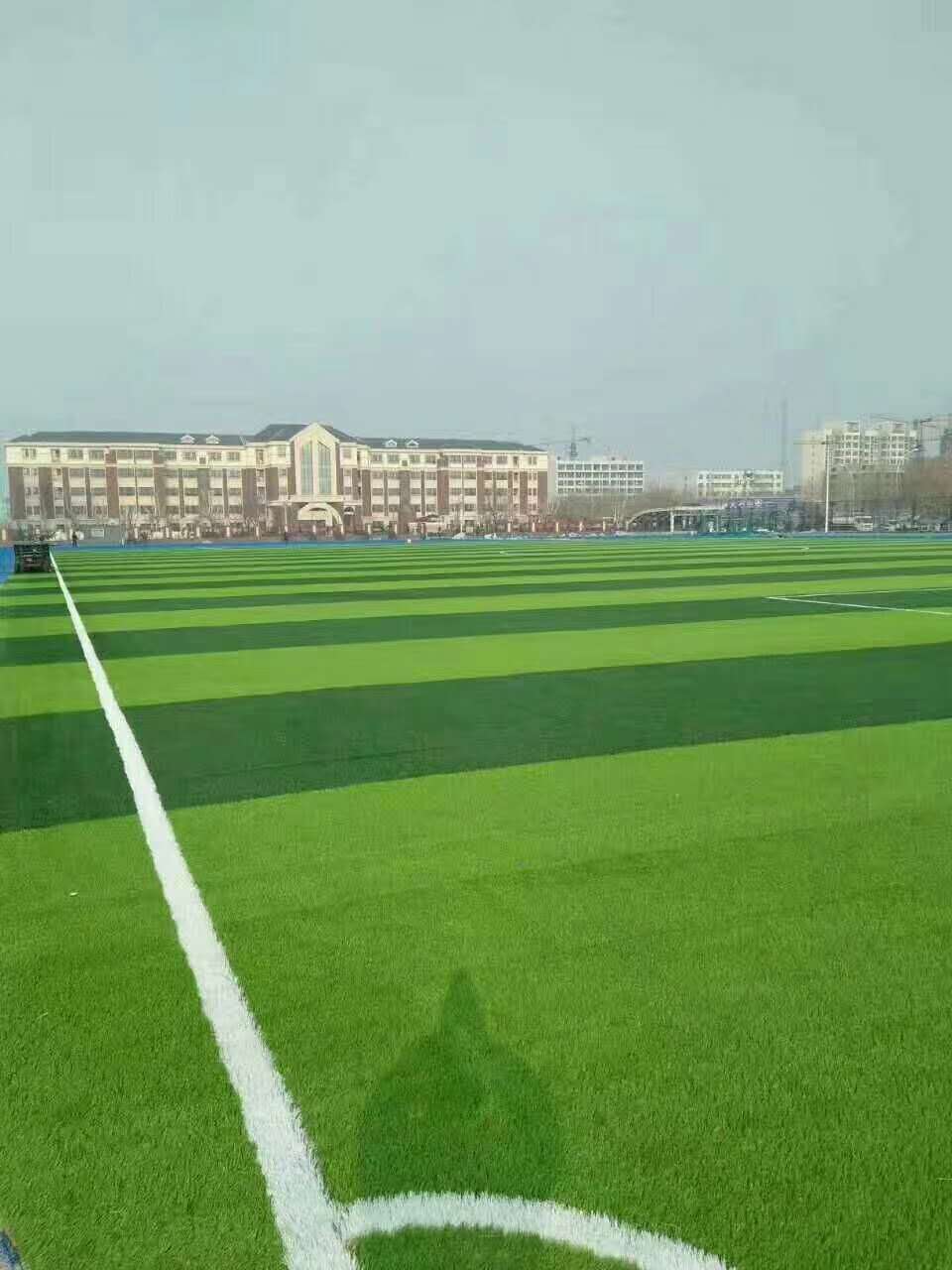 衢州市epdm幼儿园仿真草坪 - 价格